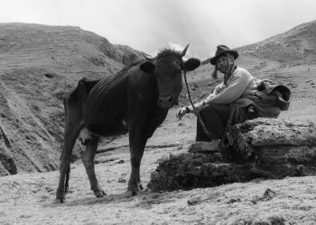 INSOMNIA Teatro Condell celebra aniversario con evento especial y estrenos nacionales