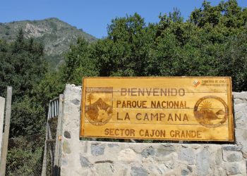 Ministro de Agricultura admite denuncia por plantación de droga en Parque La Campana