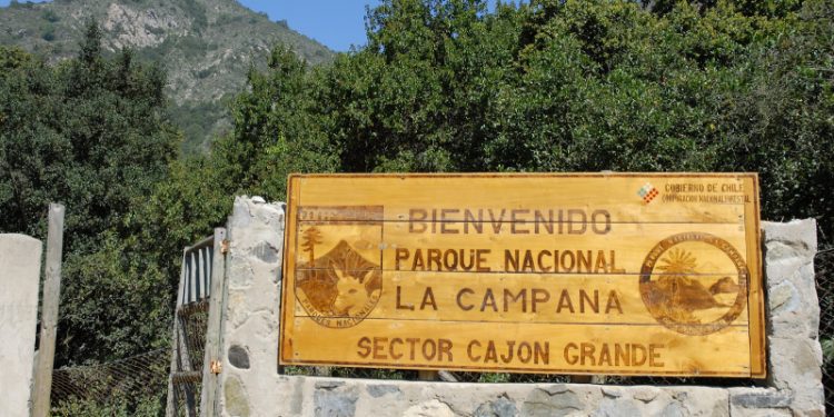 Ministro de Agricultura admite denuncia por plantación de droga en Parque La Campana