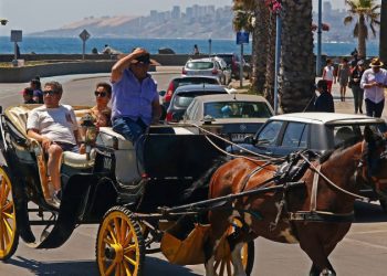 Piden nueva ley para declarar como patrimonio de Viña del Mar a Coches Victoria