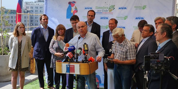 Fedefruta denuncia que camioneros impiden paso de contenedores al puerto