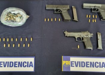 PDI lleva a la justicia a individuo que traficaba hongos alucinógenos en Los Andes