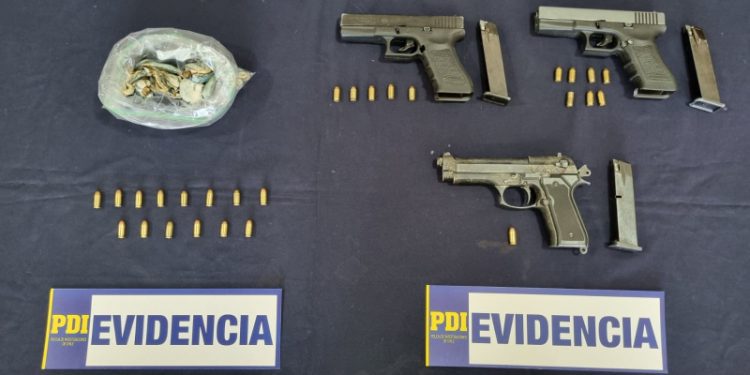 PDI lleva a la justicia a individuo que traficaba hongos alucinógenos en Los Andes