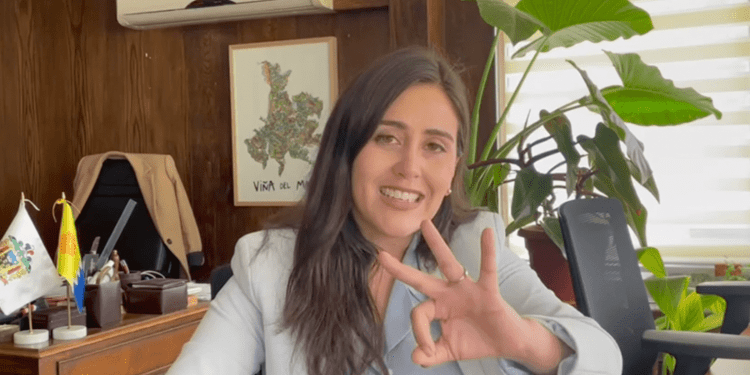 Alcaldesa Ripamonti: «Tres concejales de derecha se ven afectados por la remoción definitiva de la imagen de Virginia Reginato»