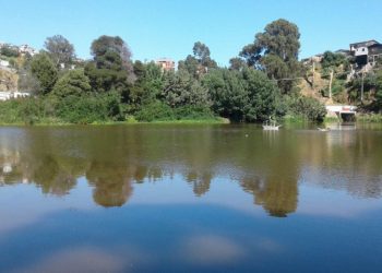 Viña del Mar: Vecinos se oponen a construcción de 100 viviendas en El Tranque