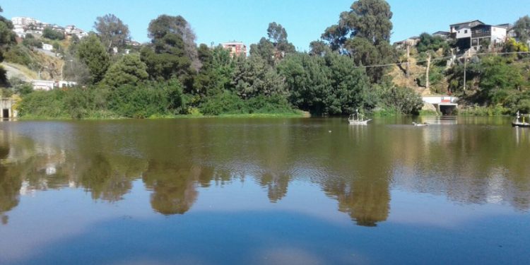 Viña del Mar: Vecinos se oponen a construcción de 100 viviendas en El Tranque