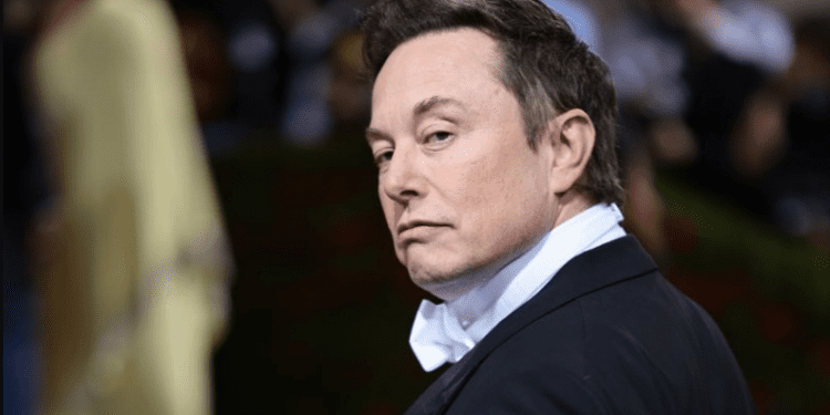Empleado de Twitter es despedido por Elon Musk a través de la misma red social