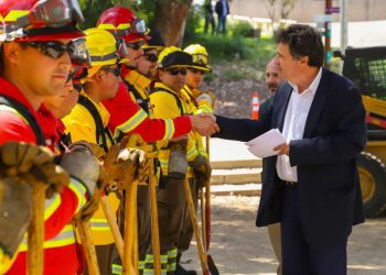 Gobierno apuesta a prevenir incendios forestales con muralla cortafuegos de 3.199 km