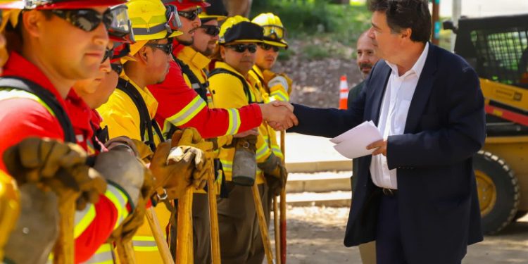 Gobierno apuesta a prevenir incendios forestales con muralla cortafuegos de 3.199 km