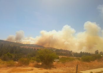 Quilpué: Reportan incendio forestal en sector camino a fundo Las Palmas