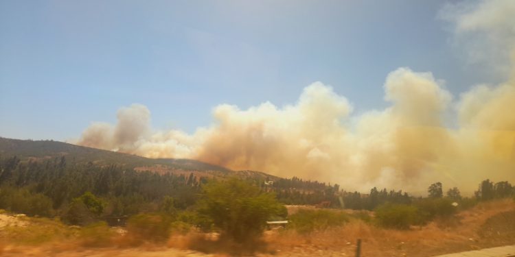 Quilpué: Reportan incendio forestal en sector camino a fundo Las Palmas