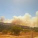 Quilpué: Reportan incendio forestal en sector camino a fundo Las Palmas