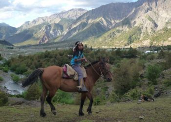 CNTV anuncia cartelera de estrenos de noviembre 2022