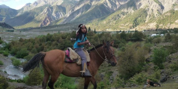 CNTV anuncia cartelera de estrenos de noviembre 2022