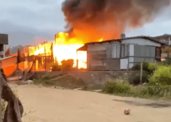 Diputado De Rementería: «Situación de seguridad en provincia de San Antonio está fuera de control»