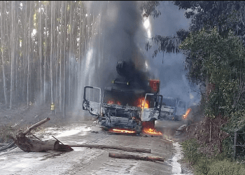 Atentados en Macrozona sur se disparan 244% según Atisba