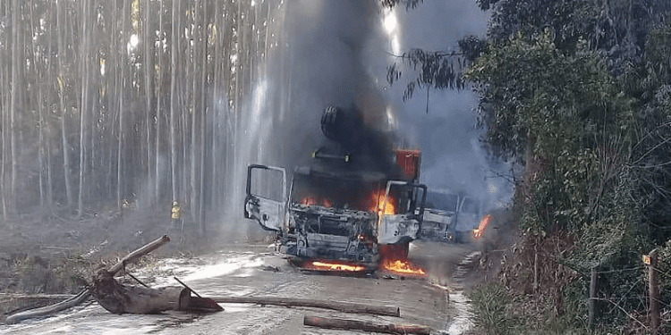 Atentados en Macrozona sur se disparan 244% según Atisba