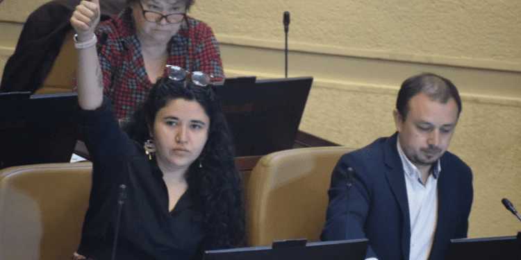 Diputados del Partido Comunista ofician a Contraloría por ordenanza de Zapallar