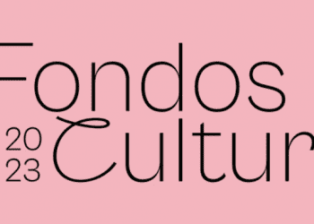 Ministerio de las Culturas entrega 1.500 millones a 19 organizaciones de la región