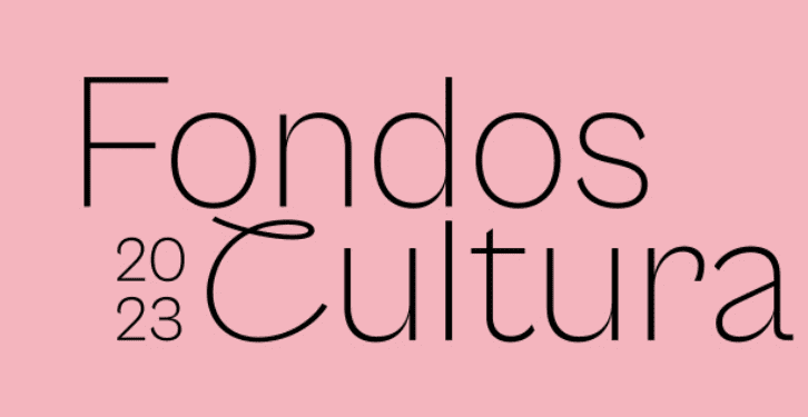 Ministerio de las Culturas entrega 1.500 millones a 19 organizaciones de la región
