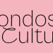 Ministerio de las Culturas entrega 1.500 millones a 19 organizaciones de la región