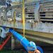 Renovación de matriz de agua potable en puente Reñaca finalizará esta semana