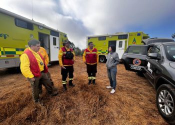 Alcaldesa de Quilpué: «El incendio estaría contenido»