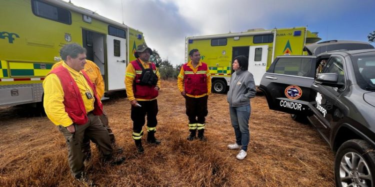 Alcaldesa de Quilpué: «El incendio estaría contenido»