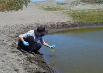 UPLA crea carrera profesional para enfrentar megasequía