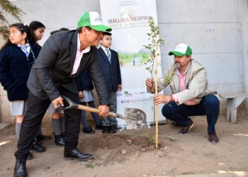Proyecto “Quillota Respira” cierra el año con 67.000 árboles plantados