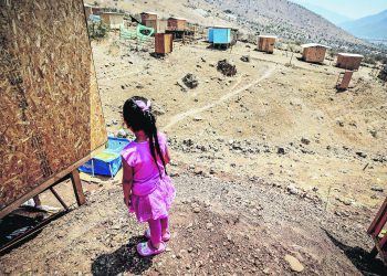 Diputada Morales solicita ayuda de organismos internacionales por alza de campamentos