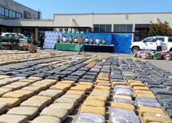 ￼Fuerte golpe al narcotráfico: incautan una tonelada de marihuana en Villa Alemana