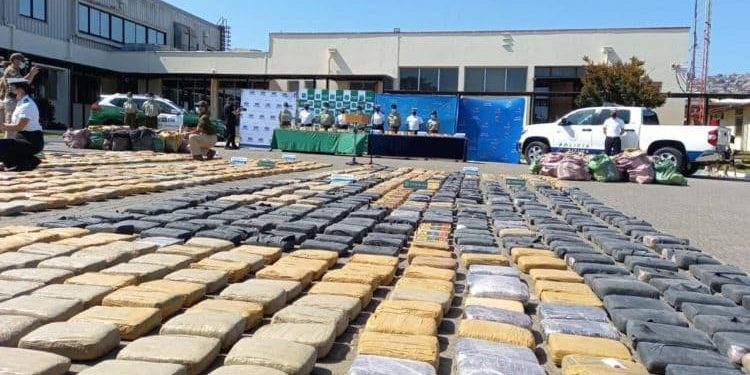 Fuerte golpe al narcotráfico: incautan una tonelada de marihuana en Villa Alemana