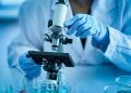 Desarrollan fármaco que permite retrasar el Alzheimer en sus primeras etapas