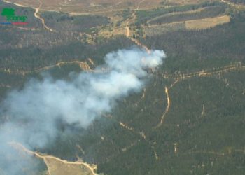 Decretan Alerta Roja por incendio forestal que amenaza reserva Lago Peñuelas