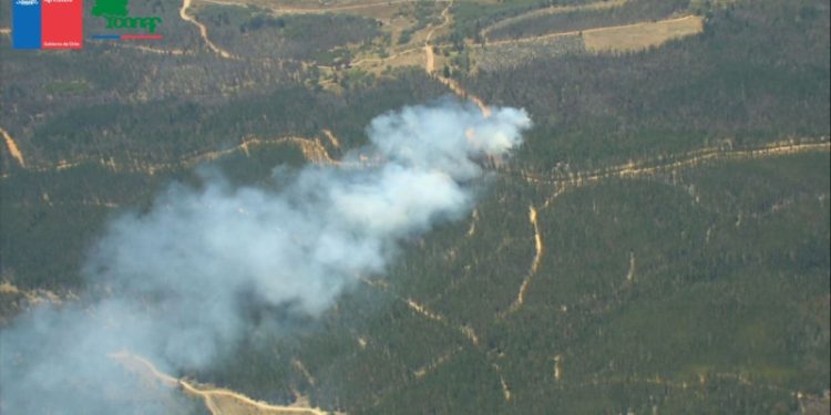 Decretan Alerta Roja por incendio forestal que amenaza reserva Lago Peñuelas