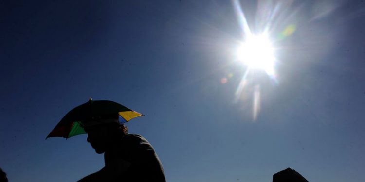 Experto entrega consejos para enfrentar olas de calor