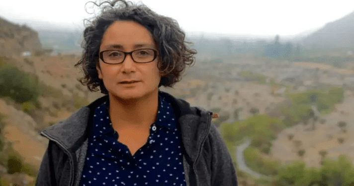 Ex Constituyente Jennifer Mella asume cargo en el Gobierno