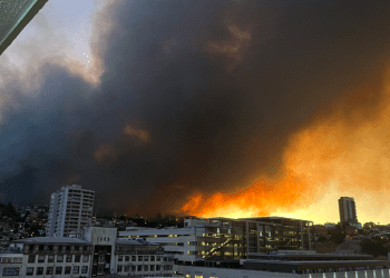 Incendio de grandes proporciones afecta a sector alto de Viña del Mar