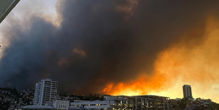 Incendio de grandes proporciones afecta a sector alto de Viña del Mar