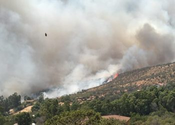 Bomberos de Quillota, Quilpué y Villa Alemana luchan contra incendio en Quebrada Escobar