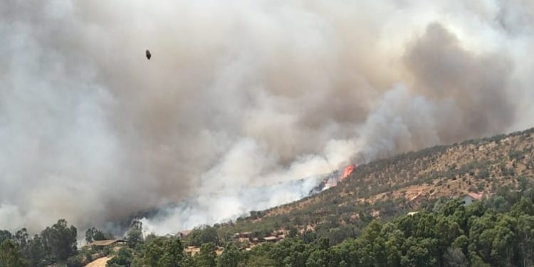 Bomberos de Quillota, Quilpué y Villa Alemana luchan contra incendio en Quebrada Escobar