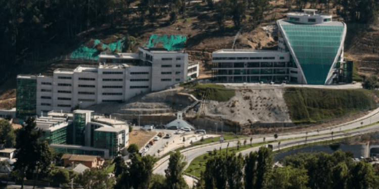 Universidad de Valparaíso logra acreditación de sus programas de doctorados