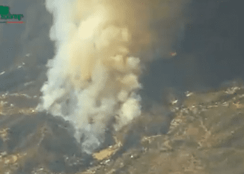 Incendio Forestal afecta a sector Los Coligues en Quilpué