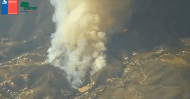 Incendio Forestal afecta a sector Los Coligues en Quilpué