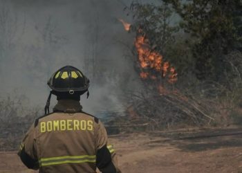 Balance: 3.410 hectáreas se quemaron en la región por incendios en 24 horas