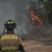 Balance: 3.410 hectáreas se quemaron en la región por incendios en 24 horas
