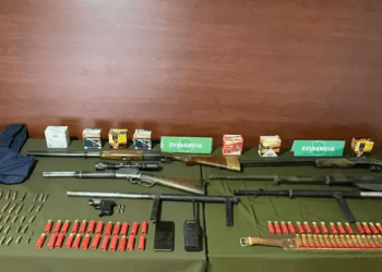 Desbaratan organización delictual con alto poder de fuego en Viña del Mar