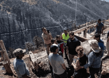 Banco de Desarrollo de América Latina dona 250 mil dólares a damnificados por incendio