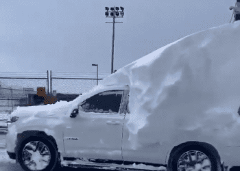 (Video) Ola Polar en Estados Unidos congela hasta las playas